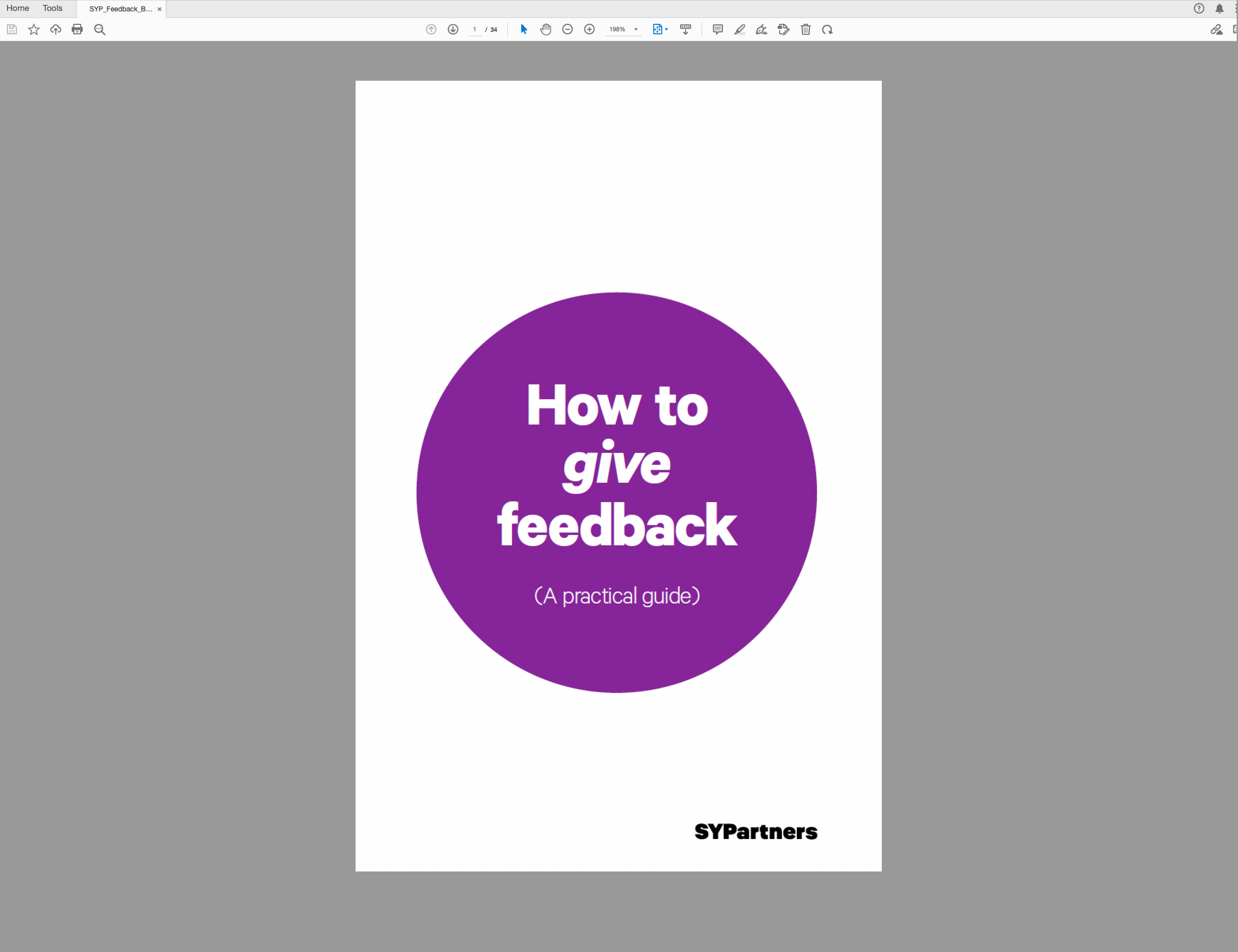 A Practical Guide to Feedback PDF—digital download